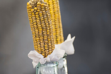 Glass bottle of moonshine close up. A cob of corn as a stopper of a bottle.
