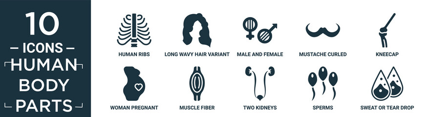 filled human body parts icon set. contain flat human ribs, long wavy hair variant, male and female gender, mustache curled tip variant, kneecap, woman pregnant, muscle fiber, two kidneys, sperms,.
