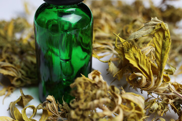 Macro close up of green isolated dropping pipette medical cannabinol cpd oil bottle with dried cannabis buds, white background