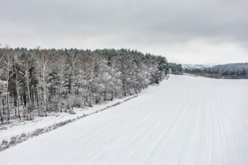 Obraz premium Aerial view of the pine forest covered with fresh snow