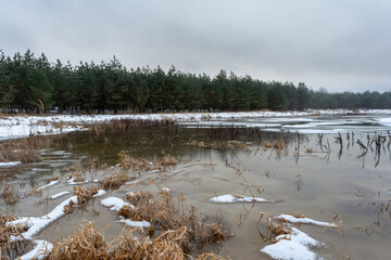 Winter landscape with a forest lake and a mysterious foggy forest. A secluded lake in the middle of a forest with blocks of ice and old dry grass.