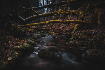 Das Fliesende Wasser