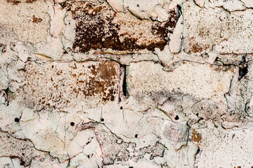 Texture of a brick wall with cracks and scratches which can be used as a background