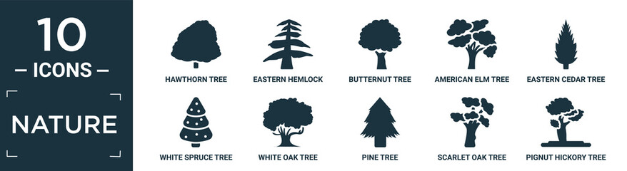filled nature icon set. contain flat hawthorn tree, eastern hemlock tree, butternut tree, american elm eastern cedar white spruce white oak pine scarlet oak pignut hickory icons in editable format..
