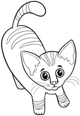 cute tabby kitten cartoon animal character coloring book page