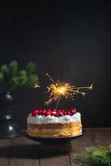 Festive cake with candles on the dark background with cranberries homemade bakery