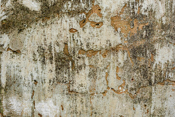 Texture of a concrete wall with cracks and scratches which can be used as a background