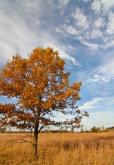 553-73 Oak Tree Sky, West Beach Unit IDNL