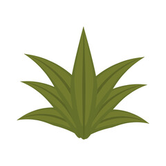 bush plant nature isolated icon