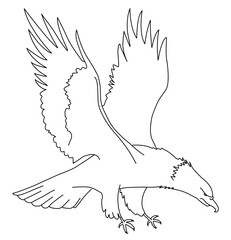 Eagle flying sketch isolated. illustration