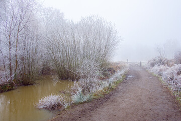 Heavy frost at Hindhead Common