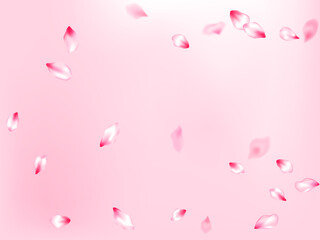 Spring tree flowers parts, airy flying petals