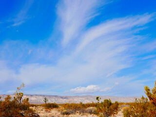 Obraz premium landscape with sky