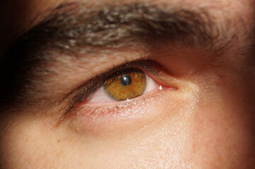 Fototapeta premium close up of eye