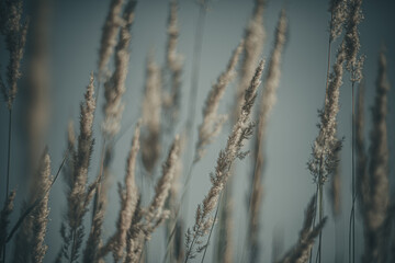 Soft focus flowers- light bokeh