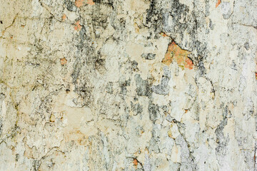 background, texture, wall, concrete, gray, wallpaper, abstract, textured, surface, rough, pattern, design, grunge, stone, backdrop, old, yellow, material, detail, dirty, cement, vintage, architecture,