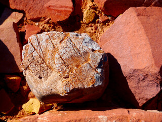 texture in stone
