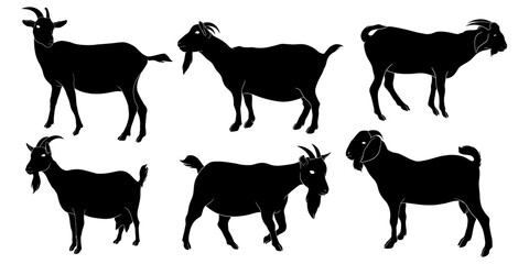 hand drawn silhouette of goat