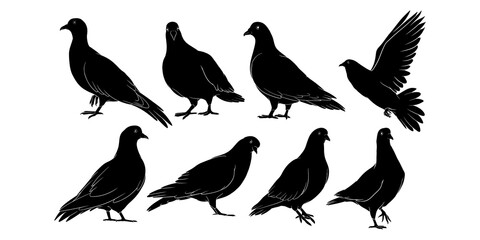 hand drawn silhouette of pigeon