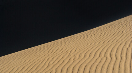 sand dunes in the desert