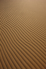 sand dune texture in the desert