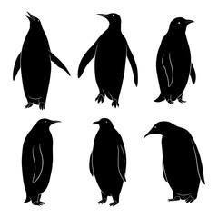 hand drawn silhouette of penguin