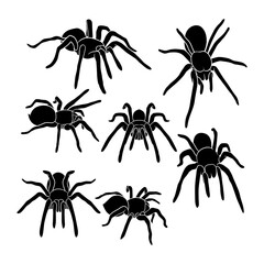 Hand drawn silhouette of tarantula