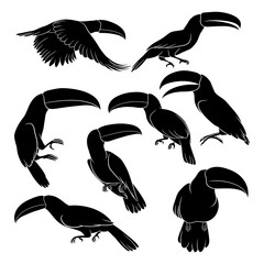 Hand drawn silhouette of toucan © Qbertstudio