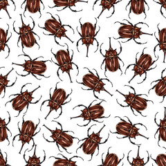 Watercolor botanical insect pattern. Beetle illustration isolated on white background. Insects brown pattern an illustration for postcards, posters, textile design and other souvenirs.