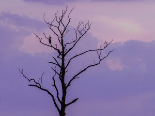 OLYMPUS DIGITAL CAMERA © Justyna