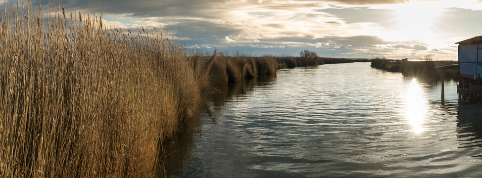 un canal nord&eacute; de roseaux au coucher de soleil