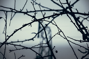 barbed wire against the sky
