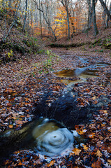 554-93 Fall Creek Canyon Autumn
