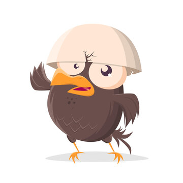 funny cartoon bird with egg helmet