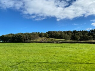 Large open field, with trees on the horizon, on a sunny day near, Bingley, Bradford, UK