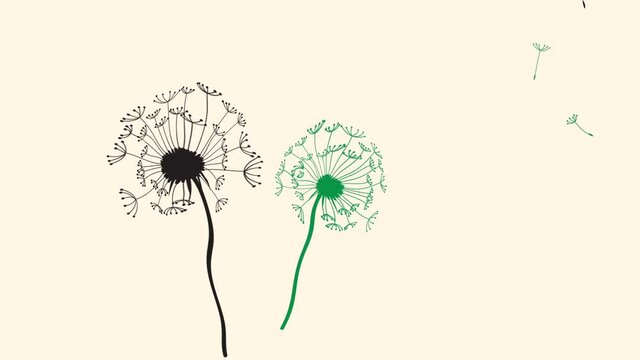Silhouette of a dandelion. Silhouette of dandelion with flying seed or spore.