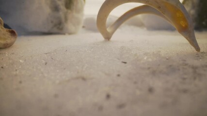 A scene with a prehistoric mammoth reconstruction. Macro shot of bones. Mammoth bone in miniature on a winter background.