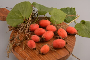 Fruit of Thladiantha dubia. Red cucumber - perennial decorative vine. Decorative plant