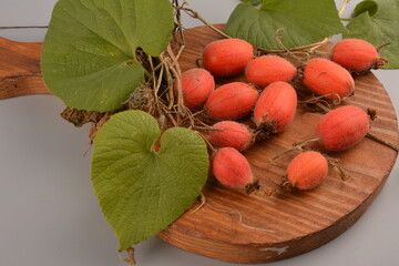 Fruit of Thladiantha dubia. Red cucumber - perennial decorative vine. Decorative plant
