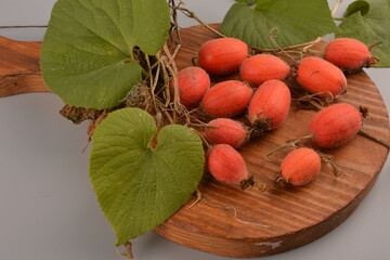 Fruit of Thladiantha dubia. Red cucumber - perennial decorative vine. Decorative plant