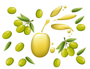 Olive oil concept of healthy tasty oil green olives on branch with leaves and flowing oil with olive shape vector illustration on white background