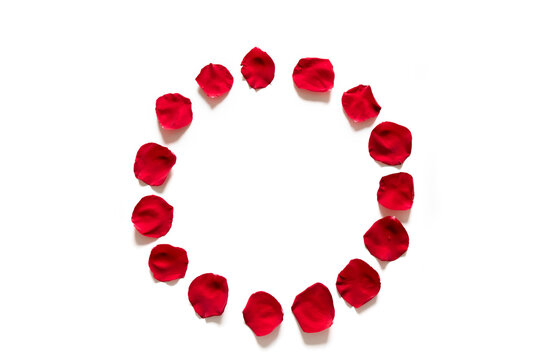 Beautiful circle frame of red rose flower petals