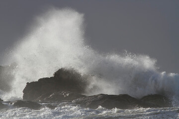 Storm on the coast