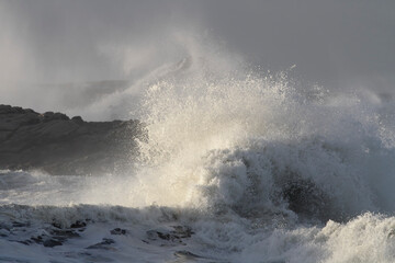 Obraz premium Wave breaking over sea rocks
