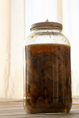 Tincture of amanita or fly agaric with alcohol is used in folk medicine