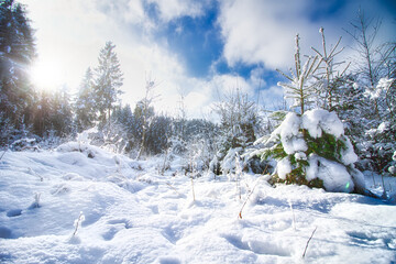 Wunderschöne Winterlandschaft in Tirol mit verschneiten Bäumen und Sonnenlicht.