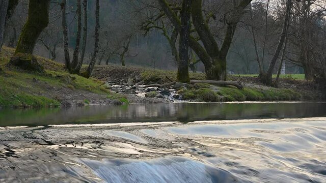 Pristine river flowing in amazing nature, Slovenia. Clean Sora river in Poljane valley. Low angle view of cascading river with trees growing on river bank. Static shot, real time