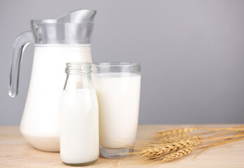 jug and bottle of fresh milk glass on barley wheat and wooden background. Raw milk is high in calcium and protein to drink for all ages. Milk consumption nutritious and healthy dairy products concept.