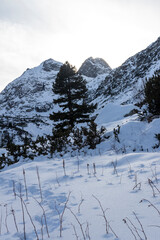 Fototapeta na wymiar Winter landscape of Malyovitsa peak, Rila Mountain
