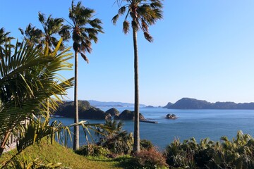 Fototapeta na wymiar 南郷町　日南海岸の風景 